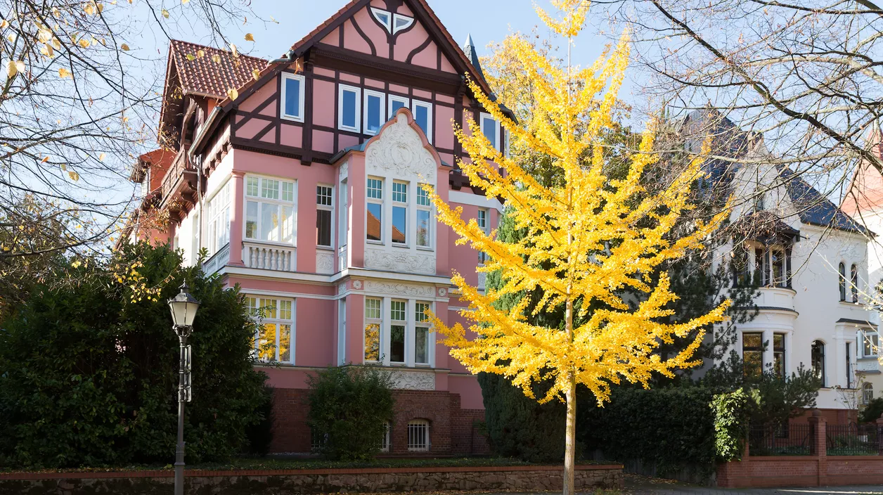 Praxis Villa Lennéviertel Magdeburg